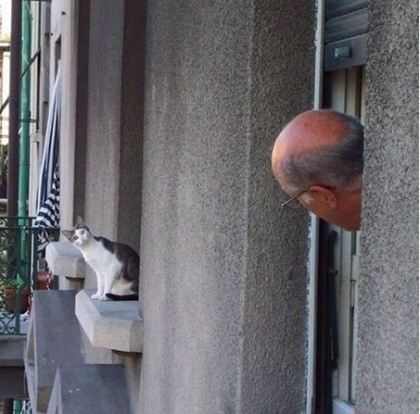 Cat and man window