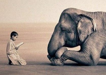 elephant and boy